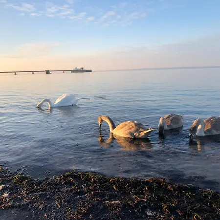 Neue An Der Ostsee,terrasse,sauna Appartamento Surendorf