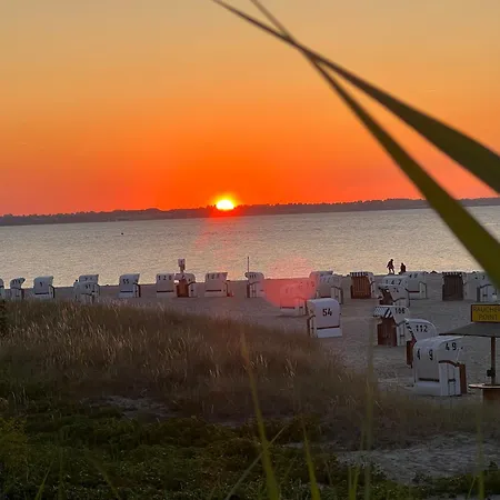 Neue An Der Ostsee,terrasse,sauna * Surendorf