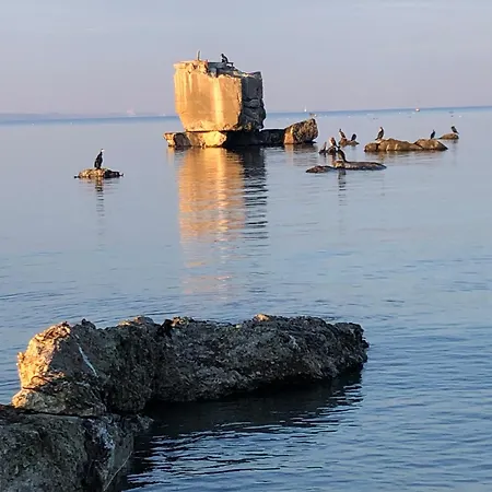Neue An Der Ostsee,terrasse,sauna Surendorf