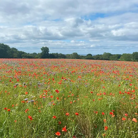 Neue An Der Ostsee,terrasse,sauna * Surendorf