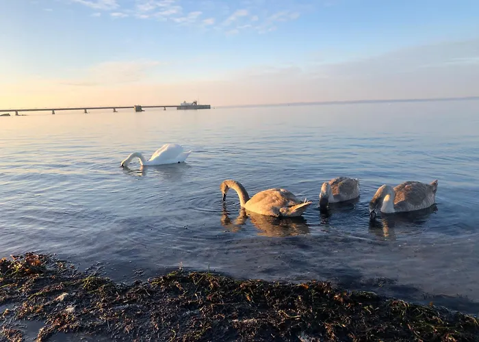 Neue An Der Ostsee,terrasse,sauna Daire Surendorf
