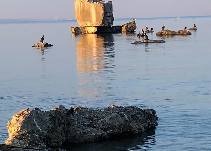 Neue An Der Ostsee,terrasse,sauna Surendorf